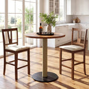 Counter Height Bar Stools with V-Back - Set of 2 by LJGDeals