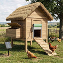 Automatic Chicken Coop Door with Remote Control & Light Sensor by LJGDeals
