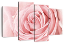 Fresh Pink Rose Wall Art