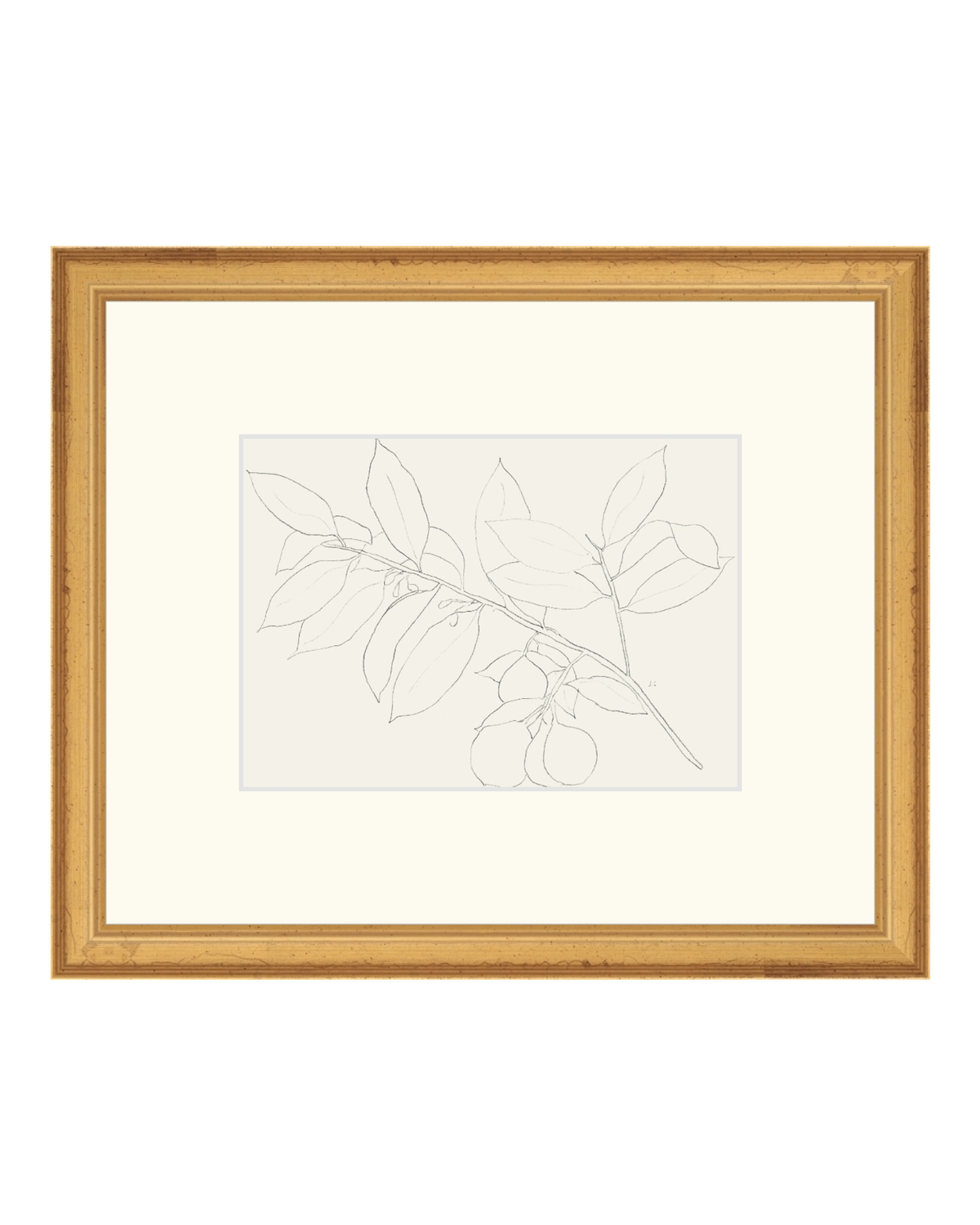 Lemon Branch Drawing, photo 26 of 42