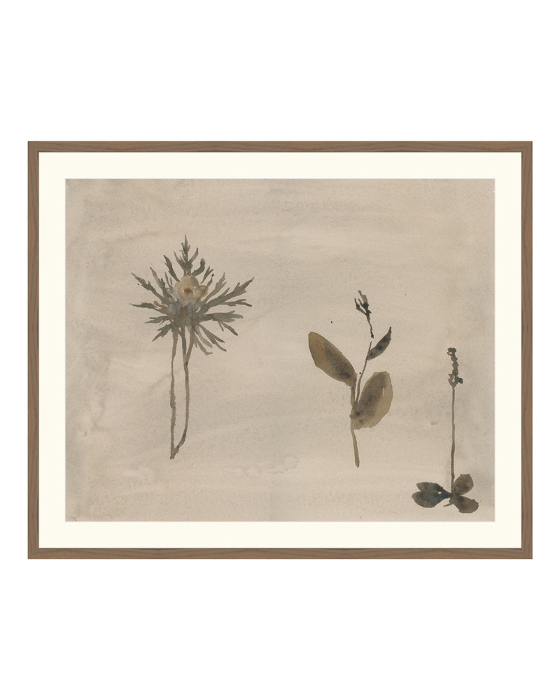 Botanical Thoughts IV