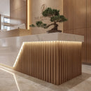 Valina · Front Reception Desk
