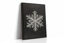 Snow Flake Elegance