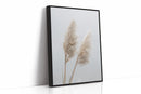 Dancing Grasses In Soft Light