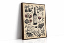 Vintage Vineyard Reverie