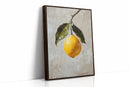 Serenade of Citrus