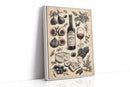 Vintage Vineyard Reverie