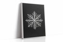 Frosted Elegance