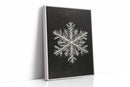 Snow Flake Elegance