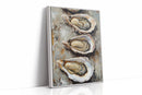 Oyster Reverie