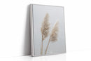 Dancing Grasses In Soft Light