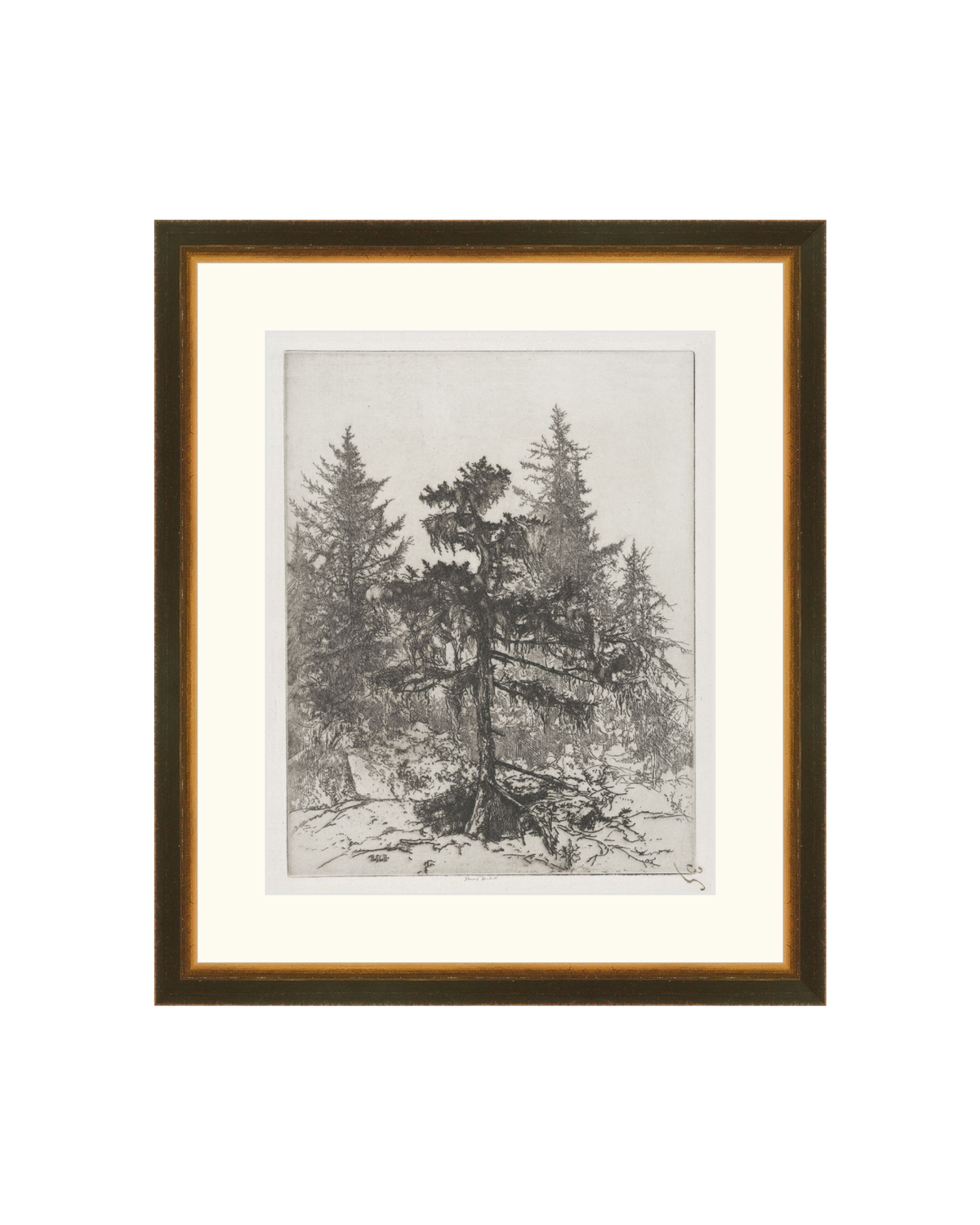 Pine Etching, photo 35 of 38