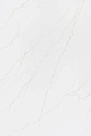 Venatino Gold Raphael Quartz