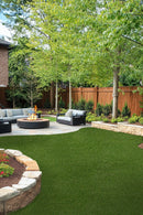 MSI Evergrass®Verdura Gold