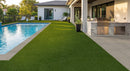 MSI Evergrass®Verdura Gold