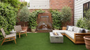 MSI Evergrass®Verdura Gold