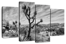Desert Joshua Tree Wall Art