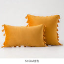 Vibrant fringed tassel velvet pillowcase for living room decor by Decorbites