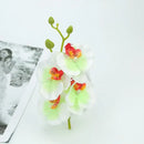 Vibrant silk butterfly orchid bouquet for wedding and home decor by Decorbites