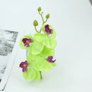 Vibrant silk butterfly orchid bouquet for wedding and home decor by Decorbites