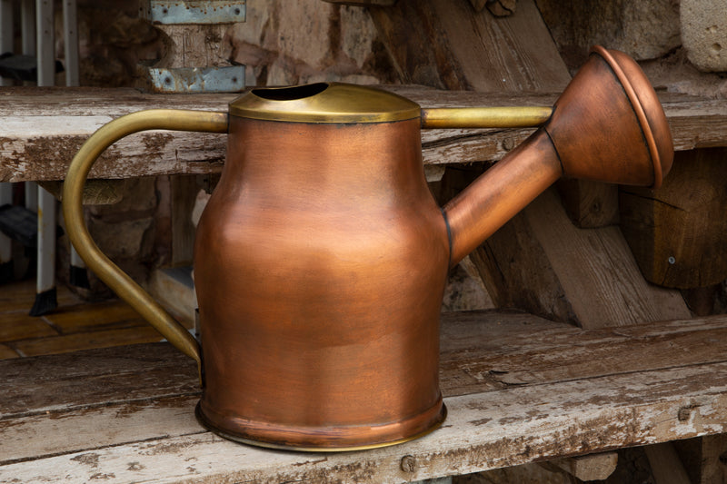 Vintage Aesthetic Brass Watering Can