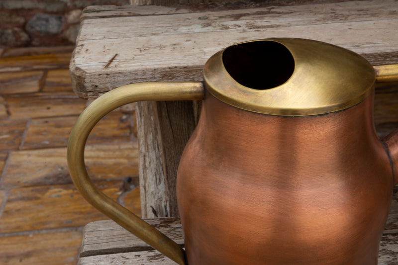 Vintage Aesthetic Brass Watering Can