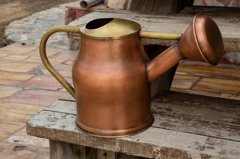 Vintage Aesthetic Brass Watering Can