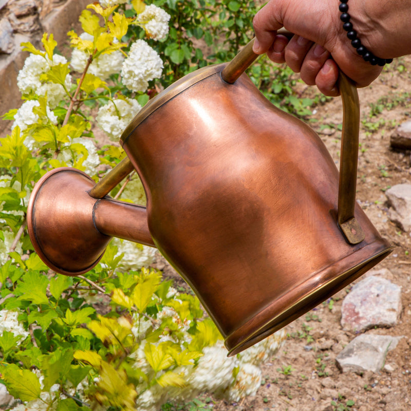 Vintage Aesthetic Brass Watering Can