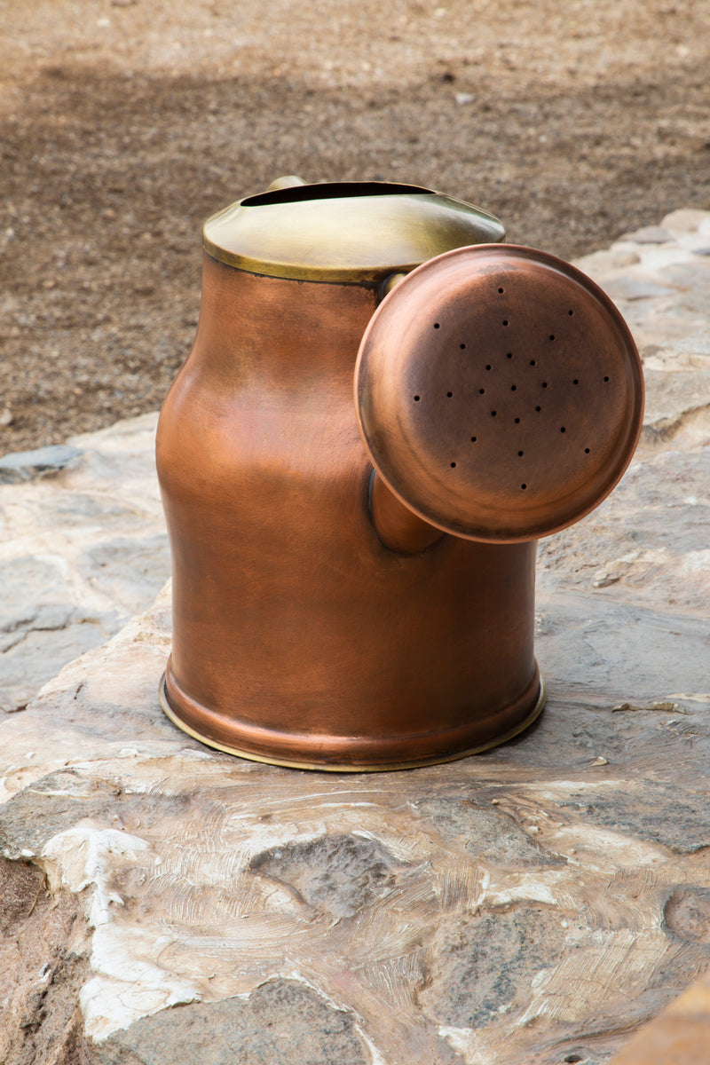 Vintage Aesthetic Brass Watering Can