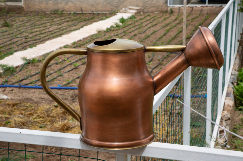 Vintage Aesthetic Brass Watering Can