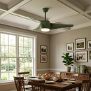 Vintage Akash Ceiling Fan Light