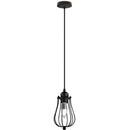 Vintage Black Metal Wire Cage Pendant Light
