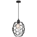 Vintage Black Metal Wire Cage Pendant Light