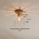 GobekUsa Clear Glass LED Ceiling Light, Modern Nordic Bedroom Decor Ceiling Lamp