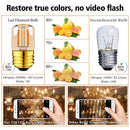 Vintage gold dimmable led tubular bulb 6 pack bedroom lighting by Decorbites
