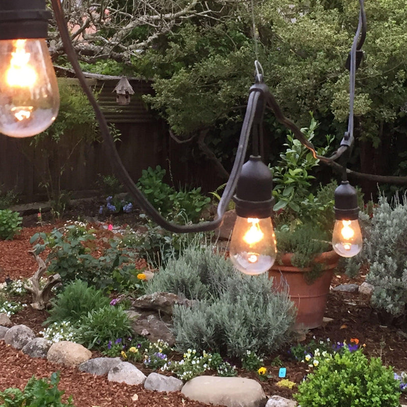 Vintage Patio Lights