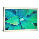 Viridian Starburst Canvas