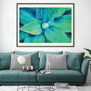 Viridian Starburst Canvas