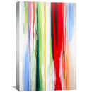 Vivid Visions Canvas