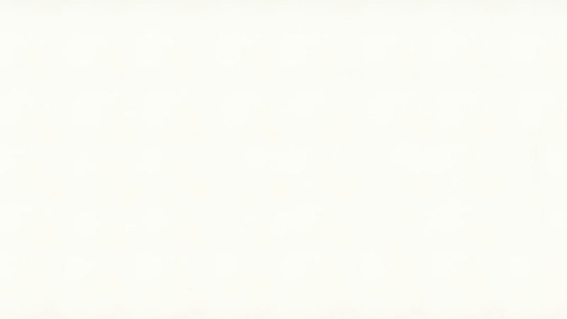 Vivid White Caesarstone