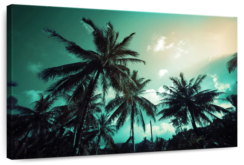 Retro Style Palm Trees Wall Art