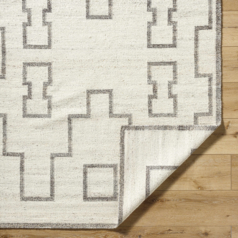 Vanig Area Rug