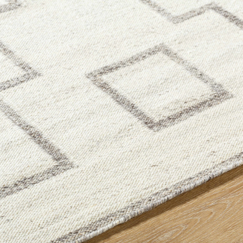 Vanig Area Rug