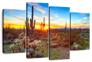 Sonoran Desert Sunset Landscape Wall Art