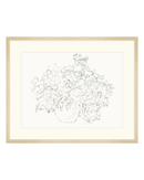 Vase of Flowers Sketch