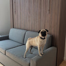 Wall Bed with Sofa