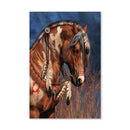 War Pony Canvas