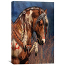 War Pony Canvas