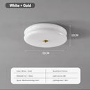GobekUsa Double Layer Glass LED Ceiling Lights for Home Decor and Lighting Fixtures