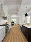 MSI Wayne Parc Reserve™Macland™Luxury Vinyl Planks